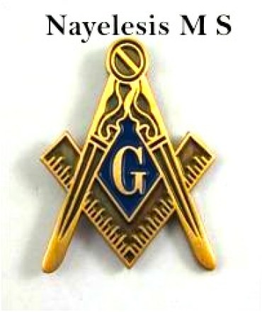 Master_Mason_Ant_50ce327cb2aa8.jpg